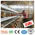 Eierschale Chicken Cage Wire Mesh